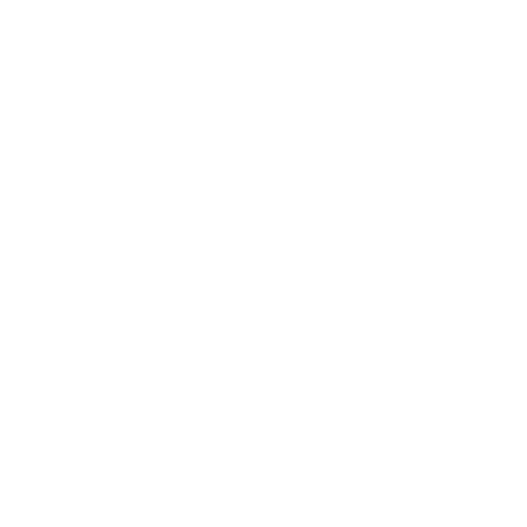 תערוכות נובמבר-ינואר 2024/5