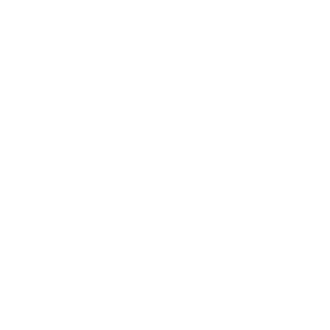 תערוכות יוני-אוגוסט 2024