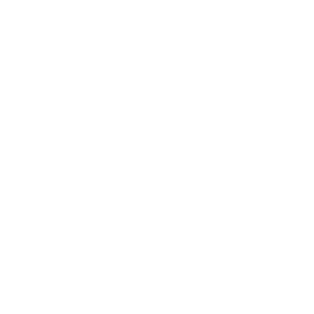 תערוכות נובמבר-ינואר 2025/6