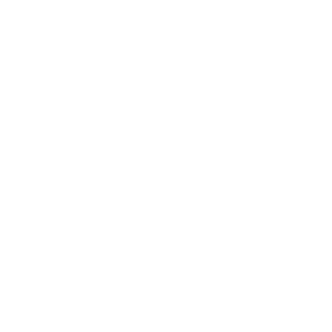 תערוכות הבאות
