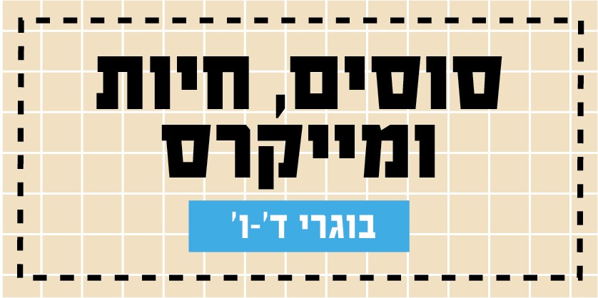 קישור לפעילויות קיץ 2026 - משק / מייקרים / סוסים לקטנים