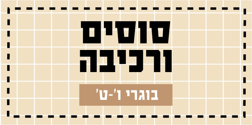 קישור לפעילויות קיץ 2026 - סוסים ורכיבה